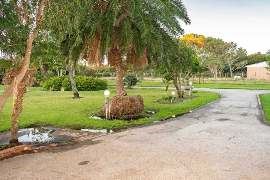 4 Bedroom Property for Sale in Theescombe Eastern Cape